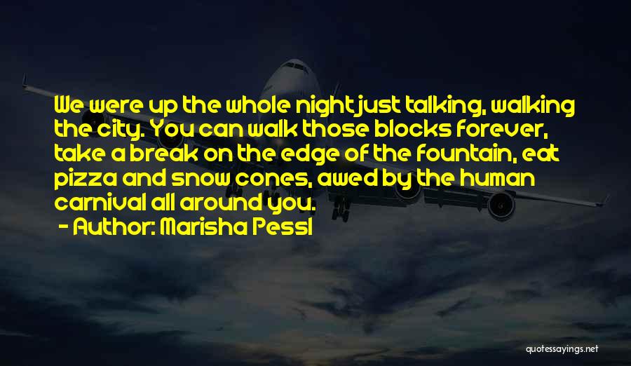 Marisha Pessl Quotes 290793
