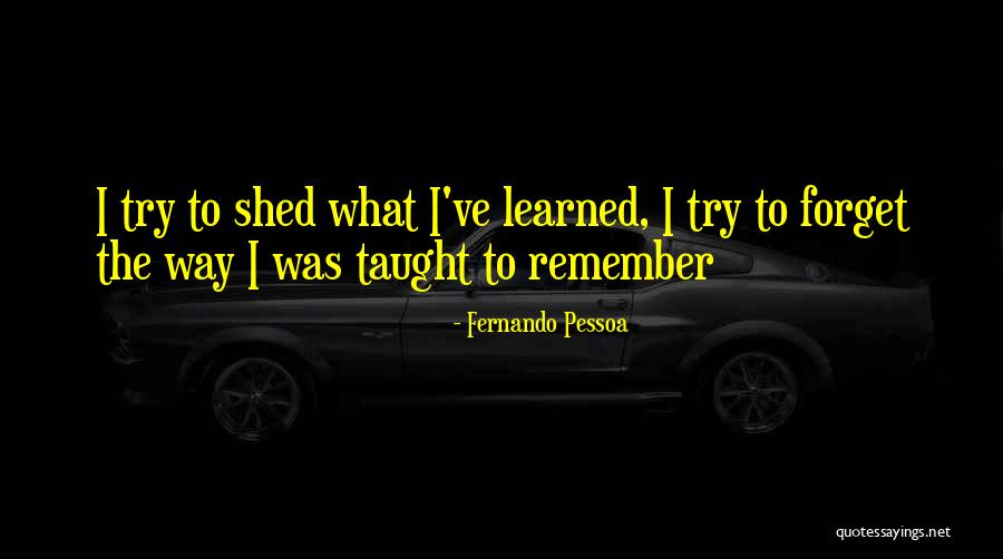 Marisota Ladies Quotes By Fernando Pessoa Marisota Ladies Quotes By Fernando Pessoa