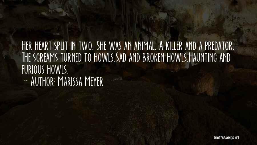 Marissa Meyer Quotes 1574915