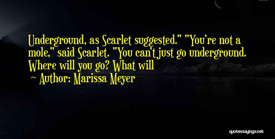 Marissa Webb Quotes By Marissa Meyer