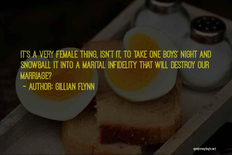 Marital Infidelity Quotes By Gillian Flynn