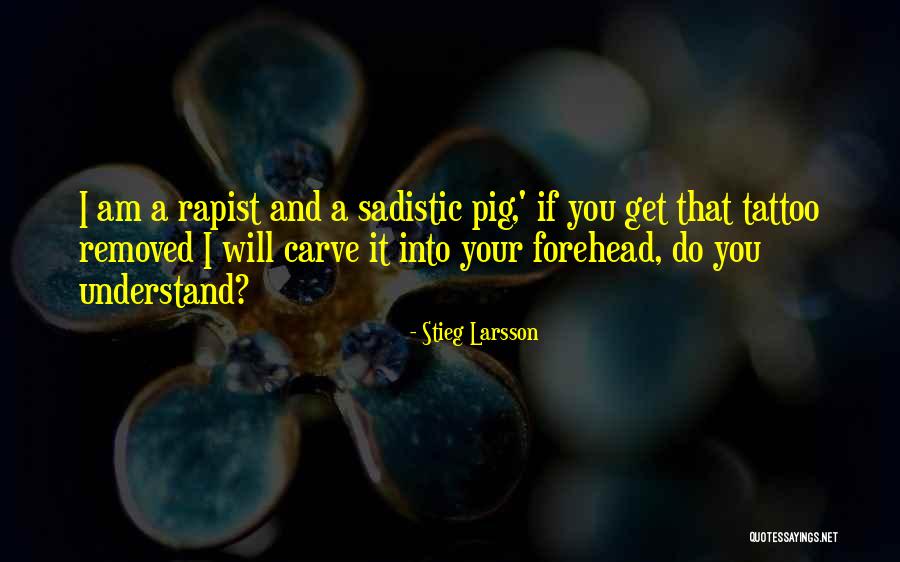 Maritornes Quotes By Stieg Larsson Maritornes Quotes By Stieg Larsson