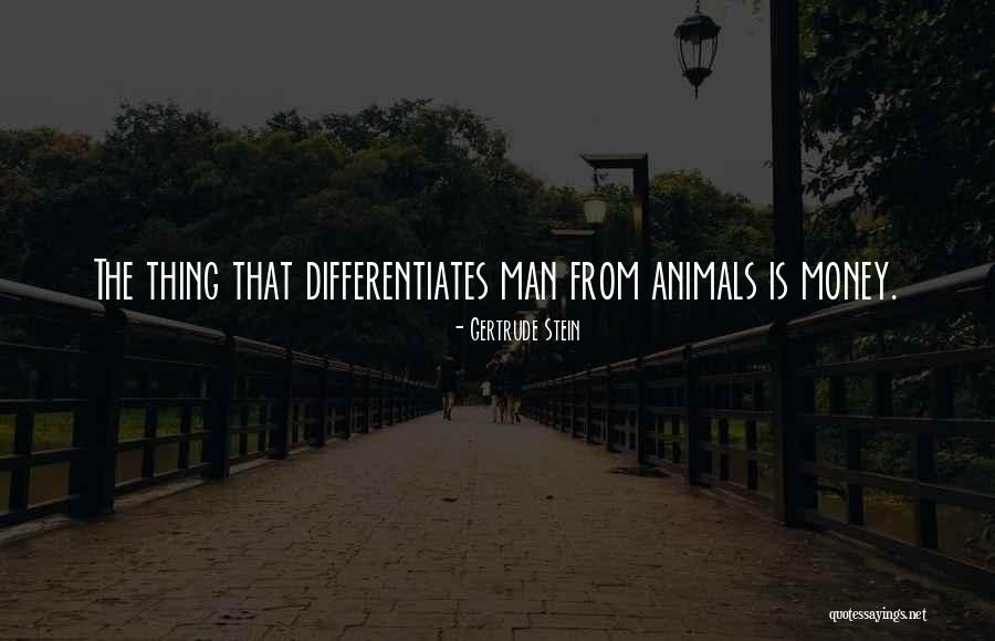 Marizia Why Quotes By Gertrude Stein Marizia Why Quotes By Gertrude Stein