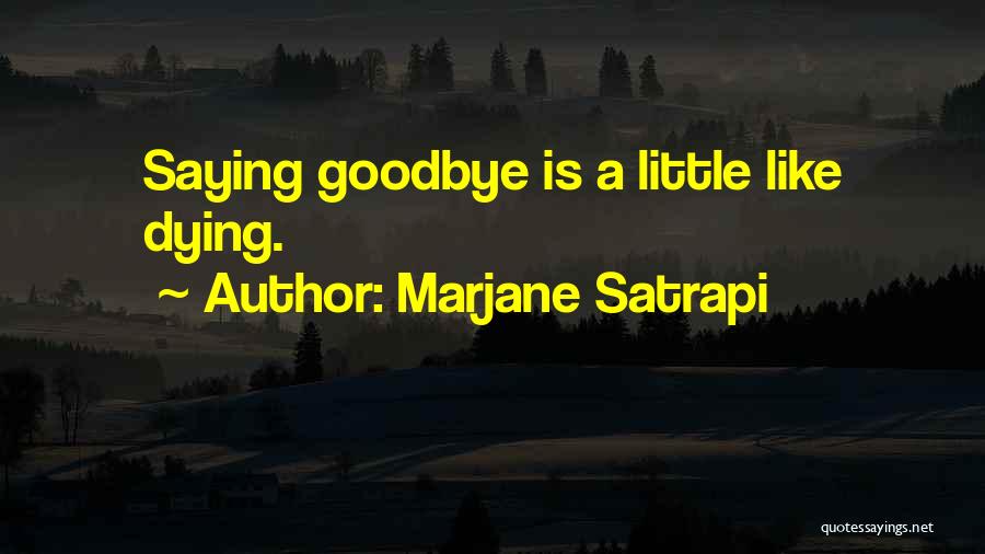 Marjane Satrapi Quotes 1549674