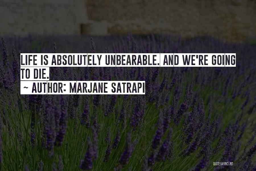 Marjane Satrapi Quotes 497959