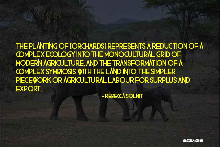 Marjatta Turunen Quotes By Rebecca Solnit Marjatta Turunen Quotes By Rebecca Solnit
