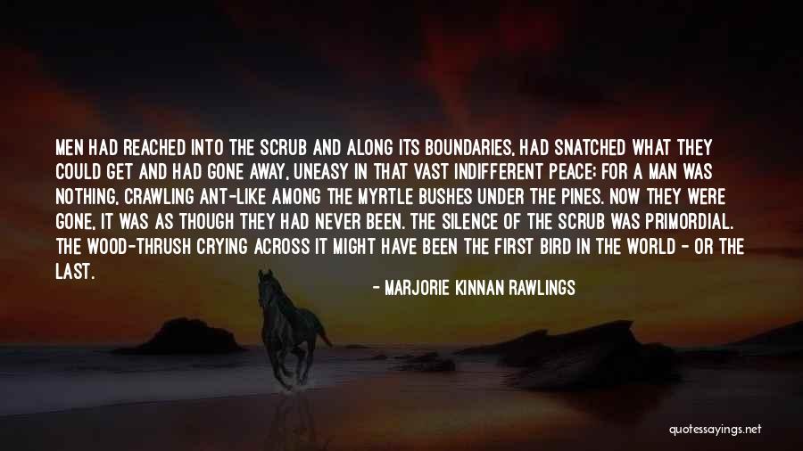 Marjorie Kinnan Rawlings Quotes 1243154