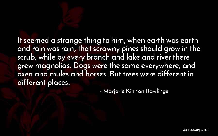 Marjorie Kinnan Rawlings Quotes 1493156