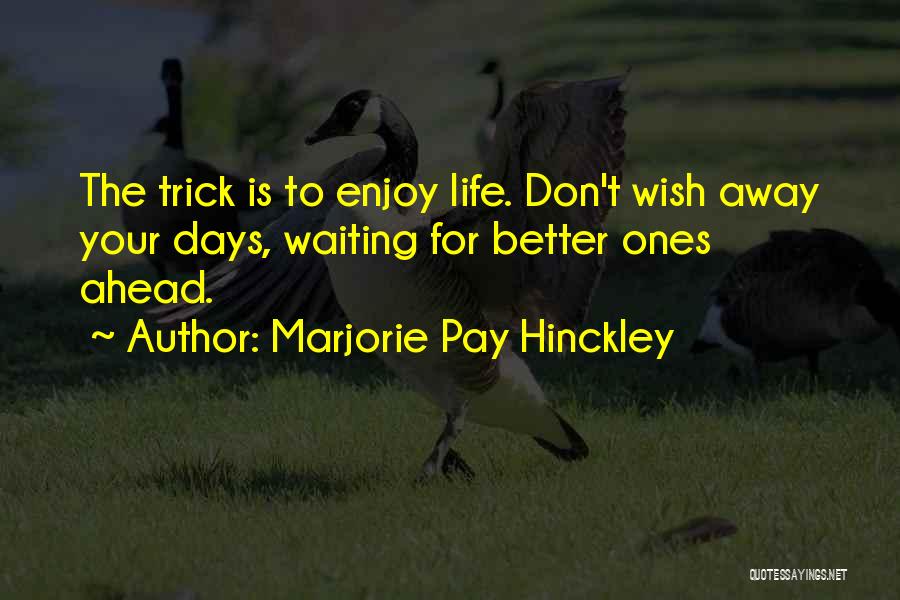 Marjorie Pay Hinckley Quotes 636464