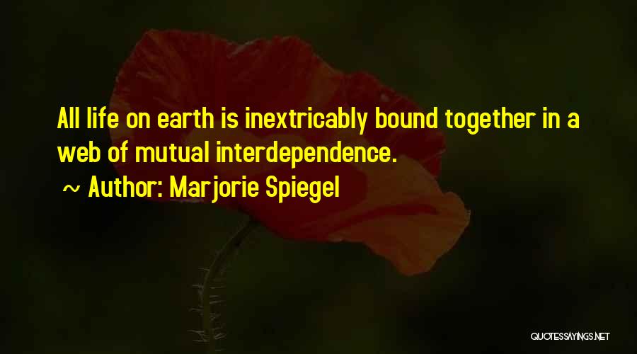 Marjorie Spiegel Quotes 2136366