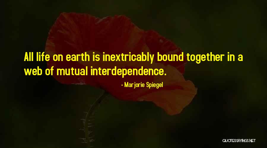 Marjorie Spiegel Quotes 2136366 Marjorie Spiegel Quotes 2136366