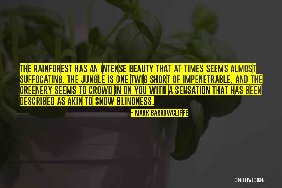 Mark Barrowcliffe Quotes 1355686 Mark Barrowcliffe Quotes 1355686