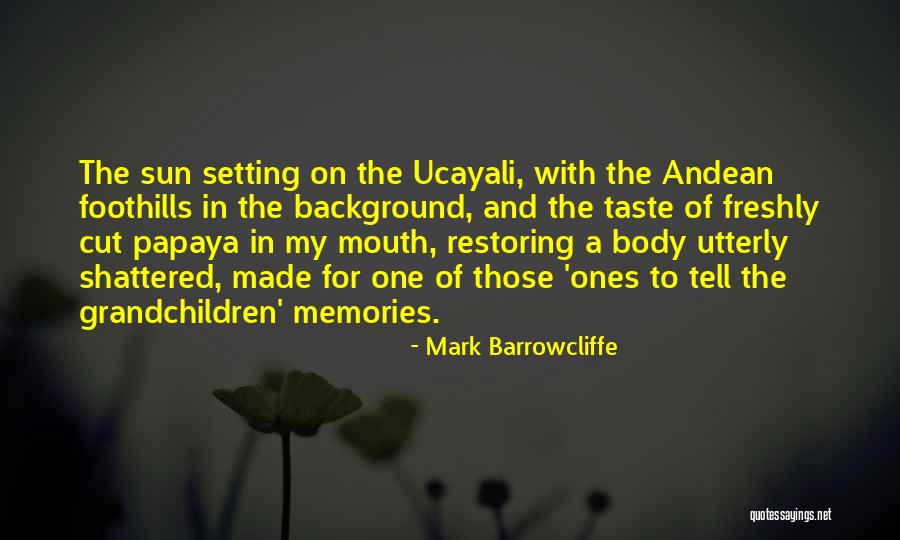 Mark Barrowcliffe Quotes 852018