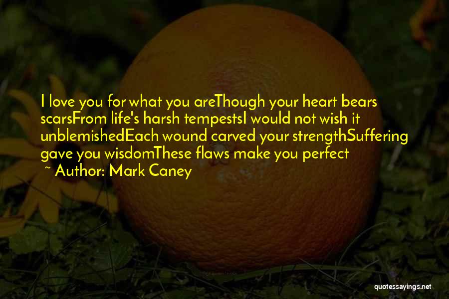 Mark Caney Quotes 895334