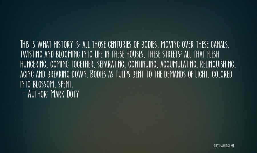 Mark Doty Quotes 1930830