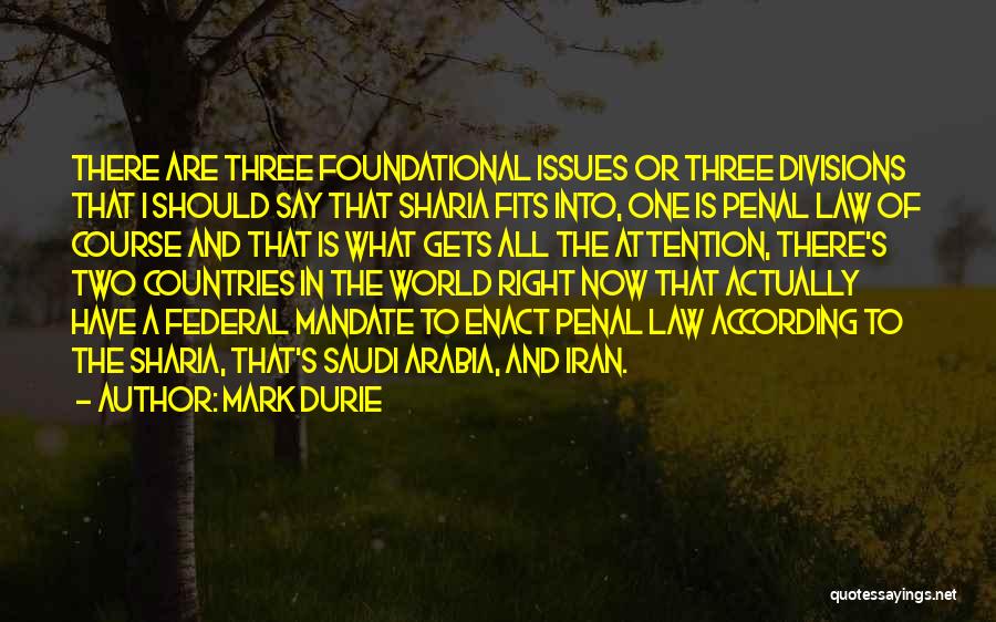 Mark Durie Quotes 168911