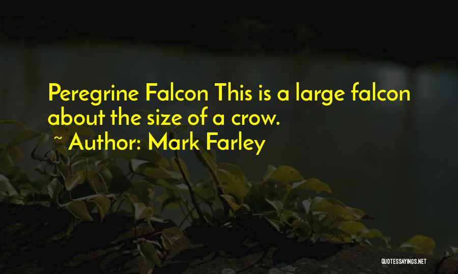 Mark Farley Quotes 1849599