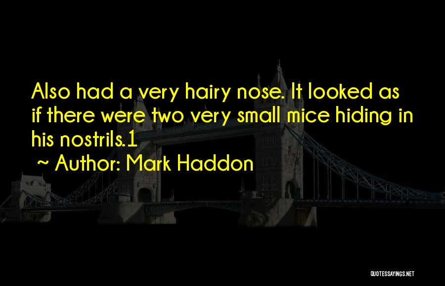 Mark Haddon Quotes 1343376