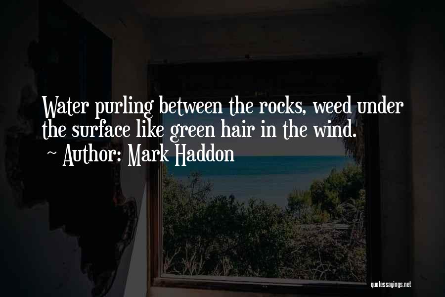 Mark Haddon Quotes 1755865