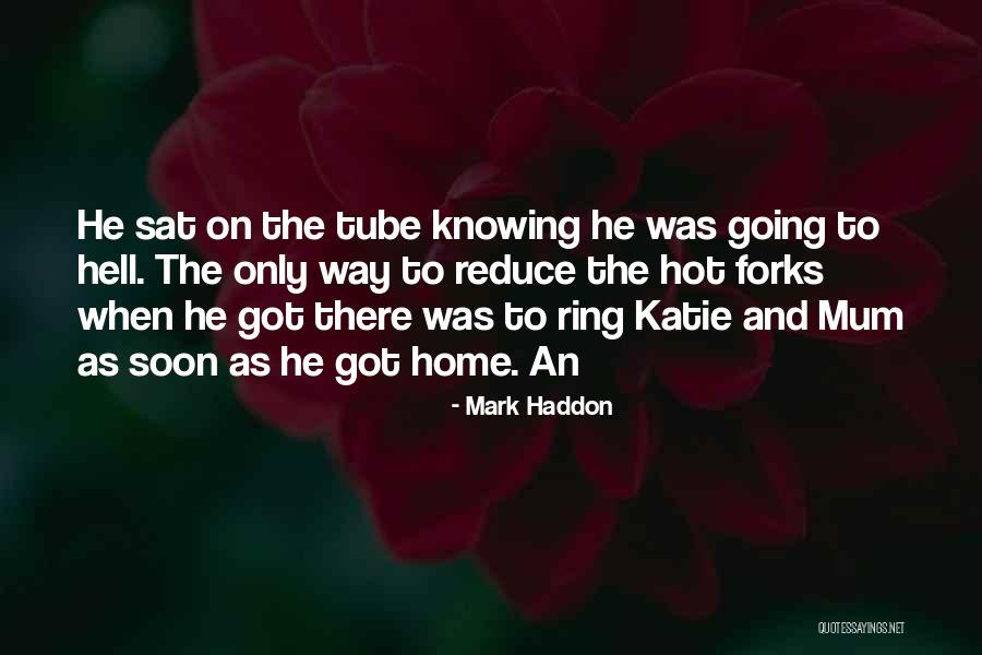 Mark Haddon Quotes 1853599