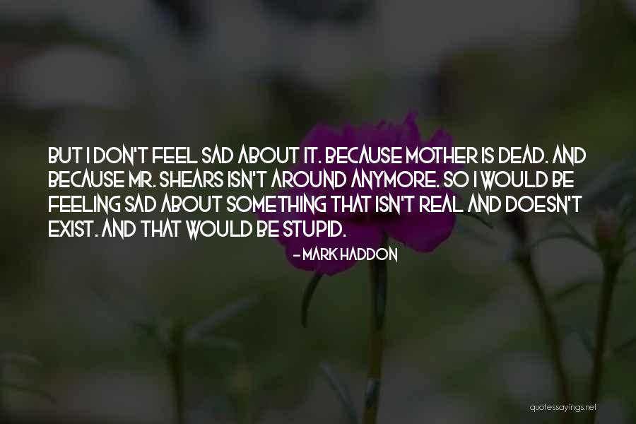 Mark Haddon Quotes 2095803