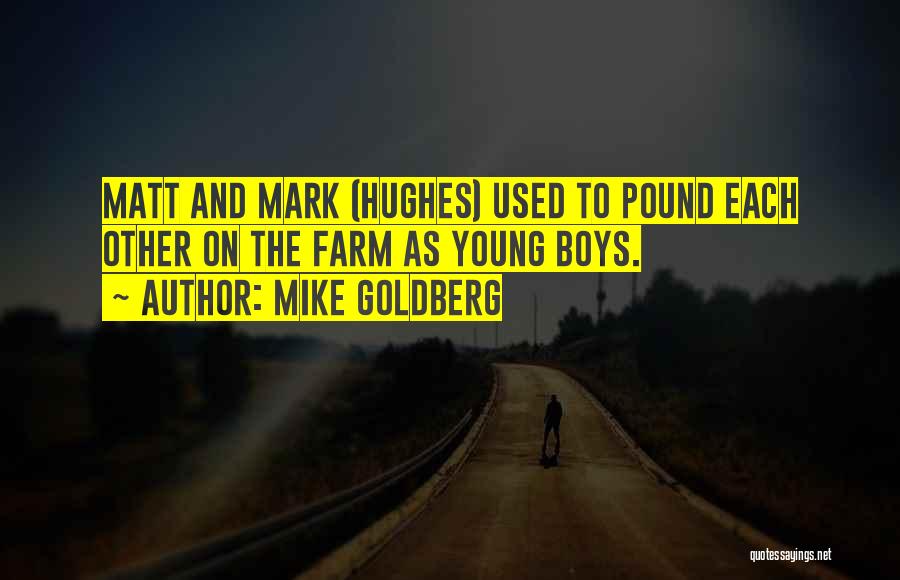 Mark Hughes Quotes By Mike Goldberg