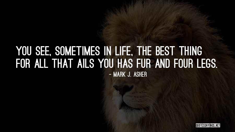 Mark J. Asher Quotes 1334596 Mark J. Asher Quotes 1334596