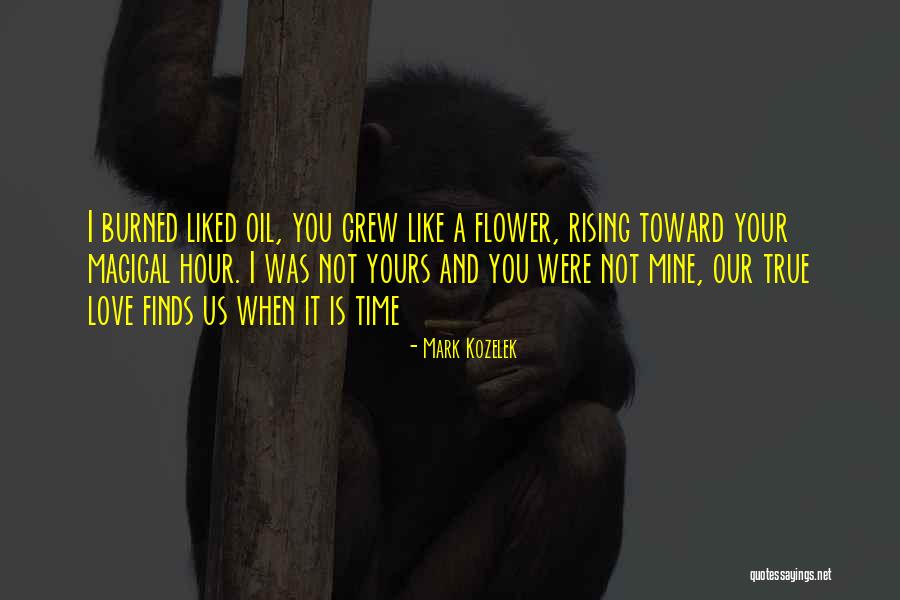 Mark Kozelek Quotes 1460225 Mark Kozelek Quotes 1460225