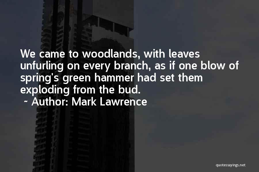 Mark Lawrence Quotes 85684