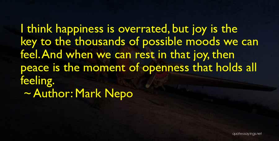 Mark Nepo Quotes 1229425