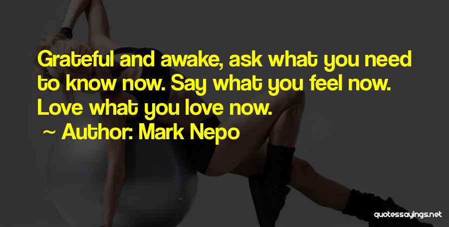 Mark Nepo Quotes 1373907