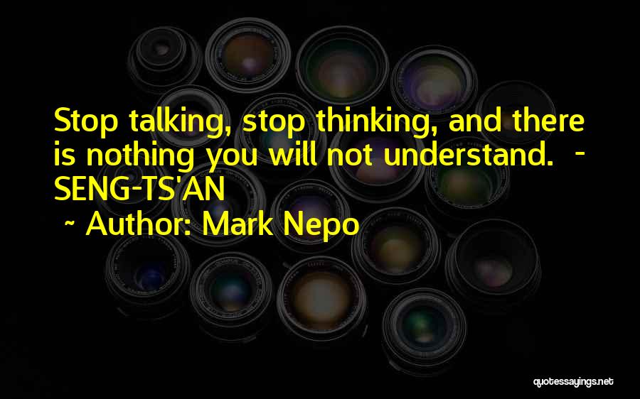 Mark Nepo Quotes 1538663