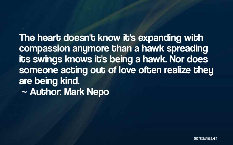 Mark Nepo Quotes 1727368