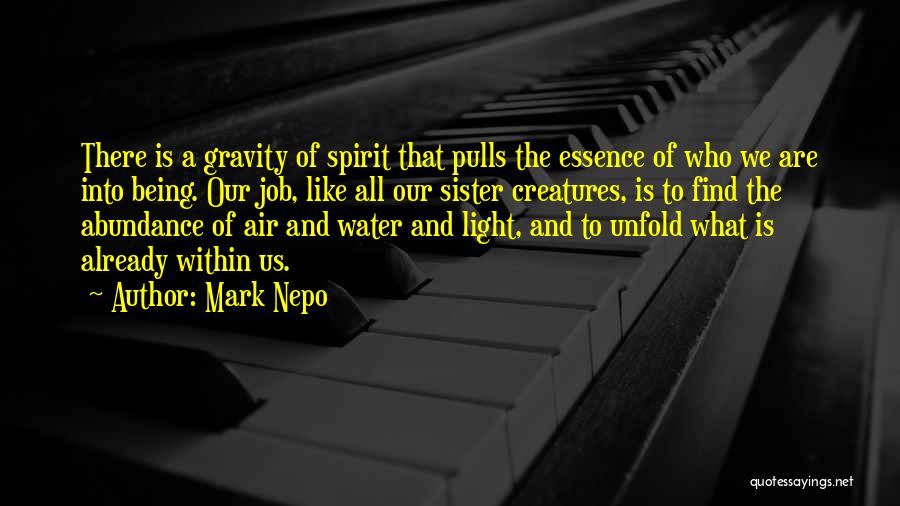 Mark Nepo Quotes 1839643