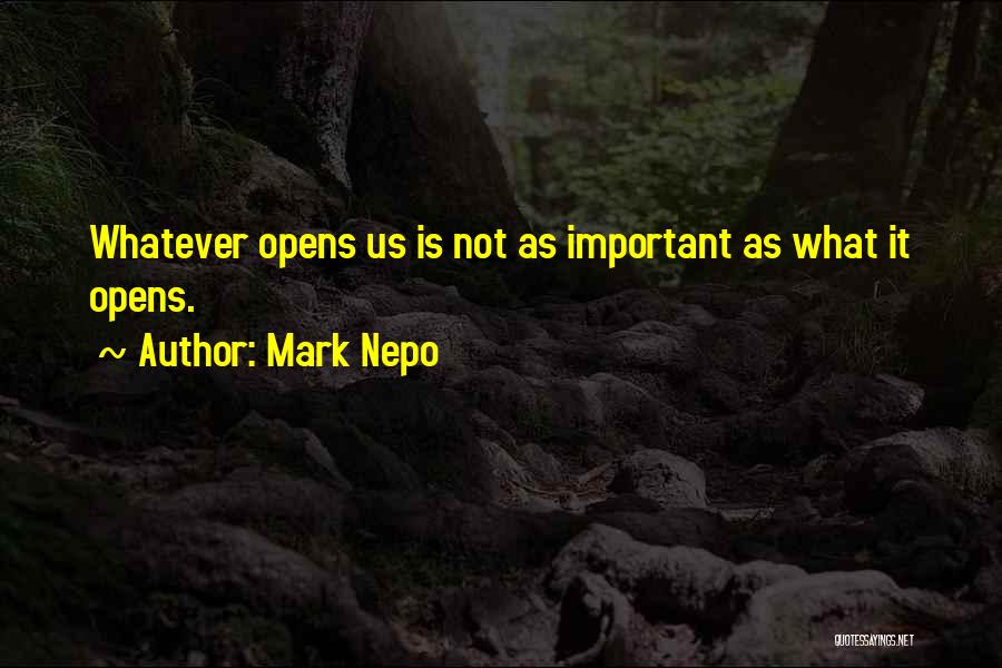 Mark Nepo Quotes 701129