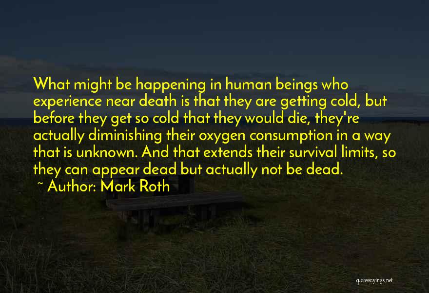 Mark Roth Quotes 326794