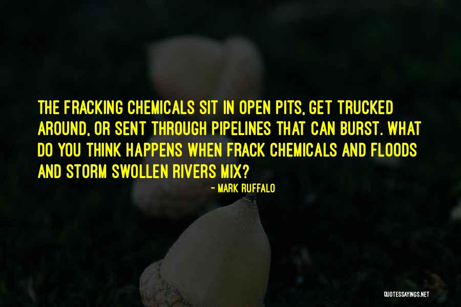 Mark Ruffalo Quotes 295351 Mark Ruffalo Quotes 295351