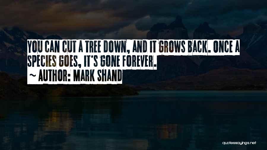 Mark Shand Quotes 1383068