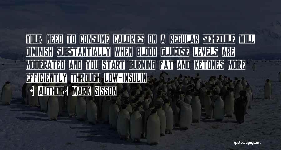 Mark Sisson Quotes 1748272