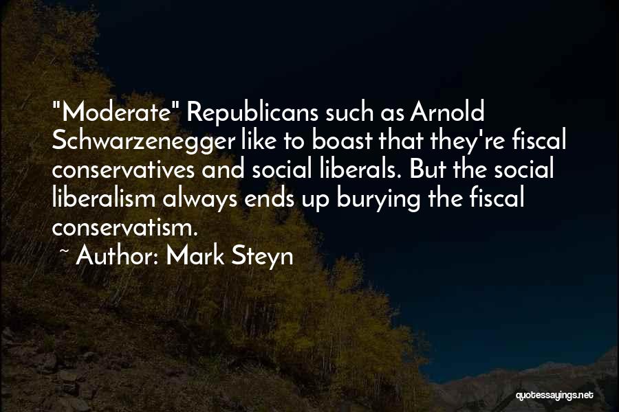 Mark Steyn Quotes 1236556