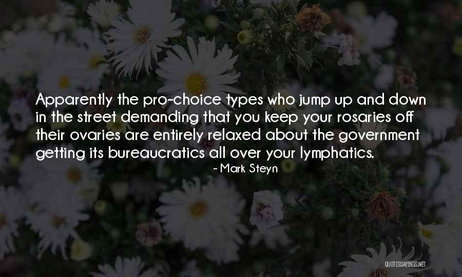 Mark Steyn Quotes 1276726