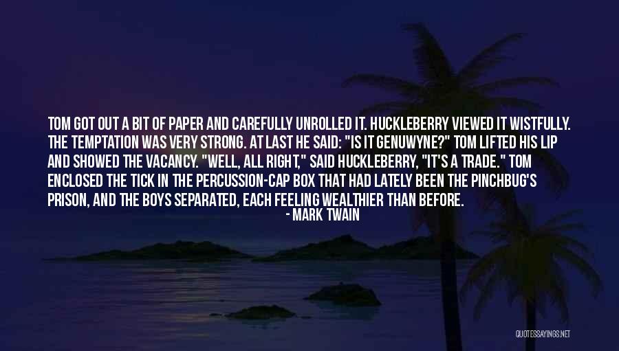 Mark Twain Huckleberry Quotes By Mark Twain