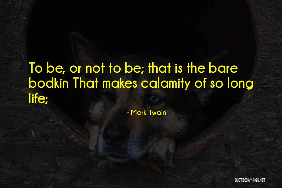 Mark Twain Huckleberry Quotes By Mark Twain