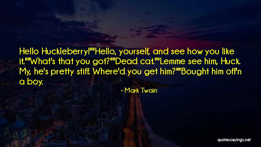 Mark Twain Huckleberry Quotes By Mark Twain