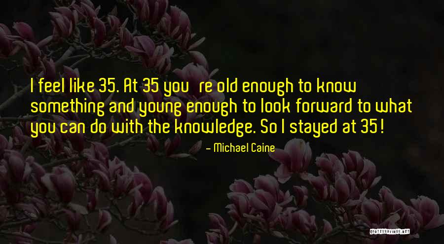 Mark Twain Niagara Falls Quotes By Michael Caine Mark Twain Niagara Falls Quotes By Michael Caine