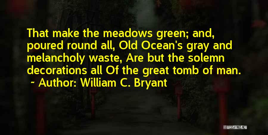 Mark Van Bommel Quotes By William C. Bryant
