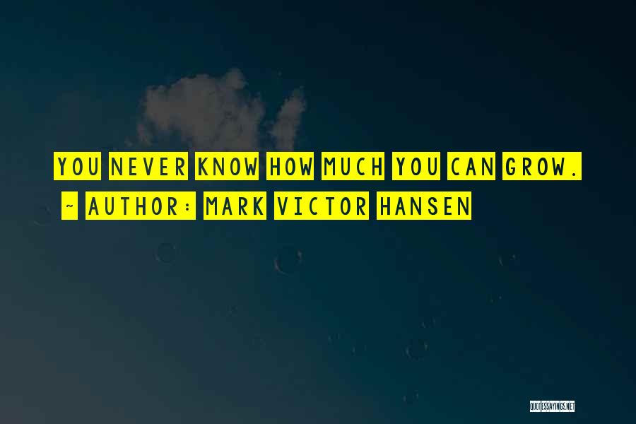 Mark Victor Hansen Quotes 1588914