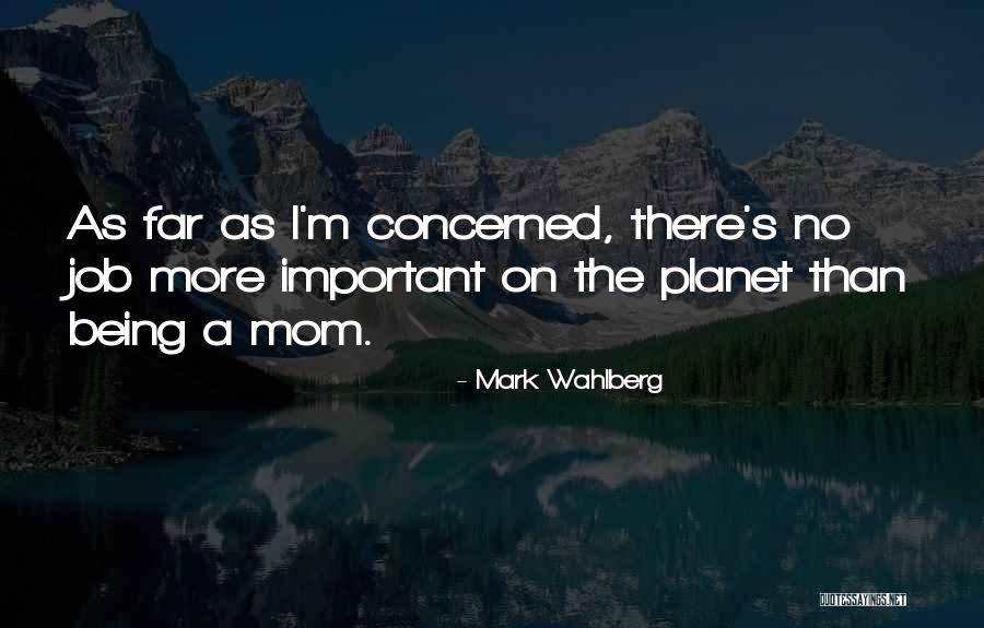 Mark Wahlberg Quotes 916493 Mark Wahlberg Quotes 916493
