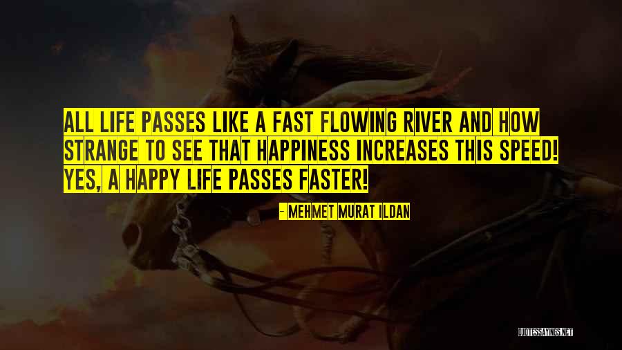 Markeith Lloyd Quotes By Mehmet Murat Ildan Markeith Lloyd Quotes By Mehmet Murat Ildan