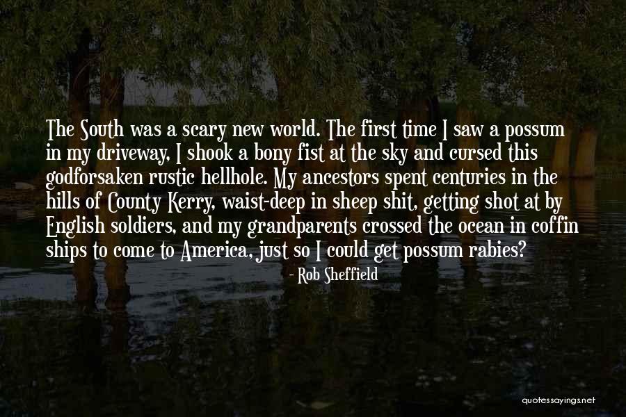 Markel Agent Quotes By Rob Sheffield